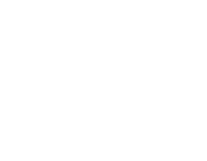 LOGO - PLATAFORMA CCONET - branco